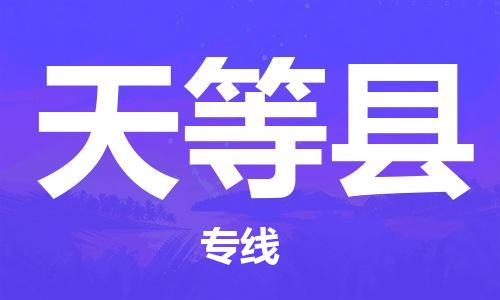 盛澤鎮(zhèn)到天等縣物流公司- 特快運輸貨運直達專線往返